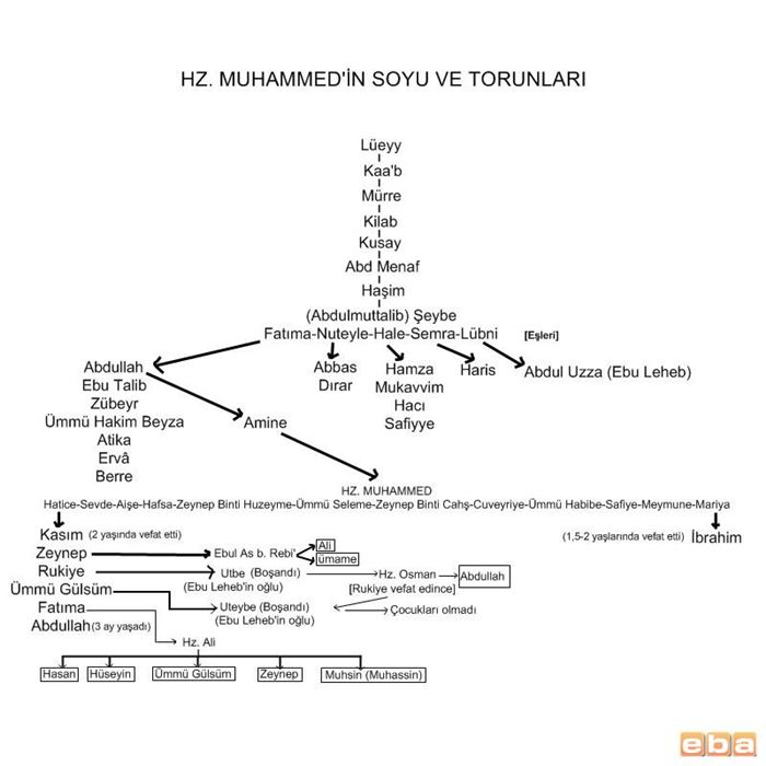 HZ. Muhammedin soyu
