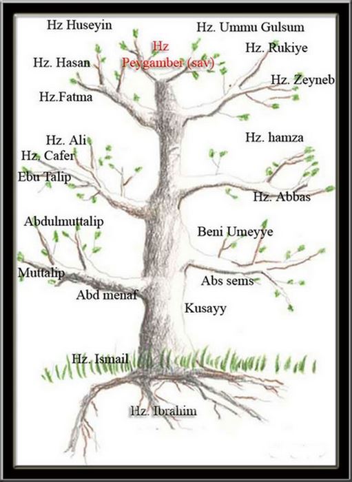 Hz. Muhammedin Aile Büyüklerinin Soy Ağacı‎