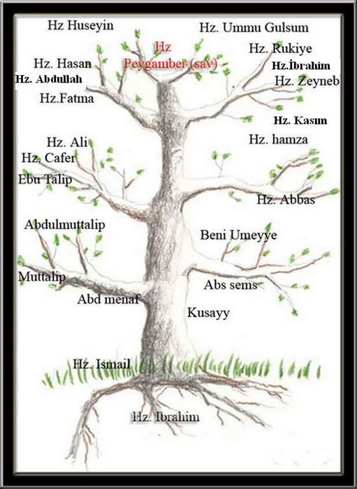 Hz Muhammedin Soy Ağacı Şeması