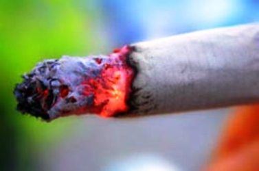 Sigara İhbar Hattı: Alo 184 (Bunu Biliyor Musunuz ?)